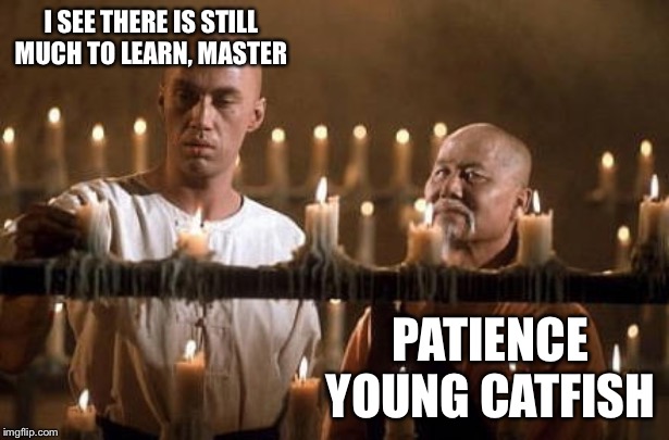 kung fu grasshopper | I SEE THERE IS STILL MUCH TO LEARN, MASTER; PATIENCE YOUNG CATFISH | image tagged in kung fu grasshopper | made w/ Imgflip meme maker