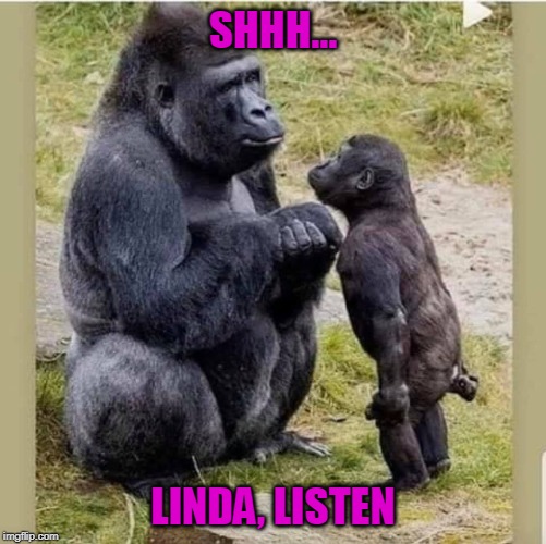 SHHH... LINDA, LISTEN | image tagged in shhh,listen linda | made w/ Imgflip meme maker