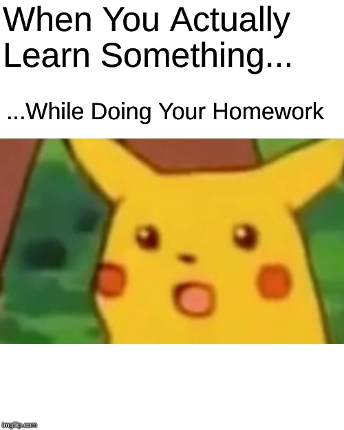 Surprised Pikachu Meme | When You Actually Learn Something... ...While Doing Your Homework | image tagged in memes,surprised pikachu | made w/ Imgflip meme maker