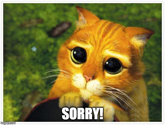 Sorry Kitty | SORRY! | image tagged in sorry kitty | made w/ Imgflip meme maker