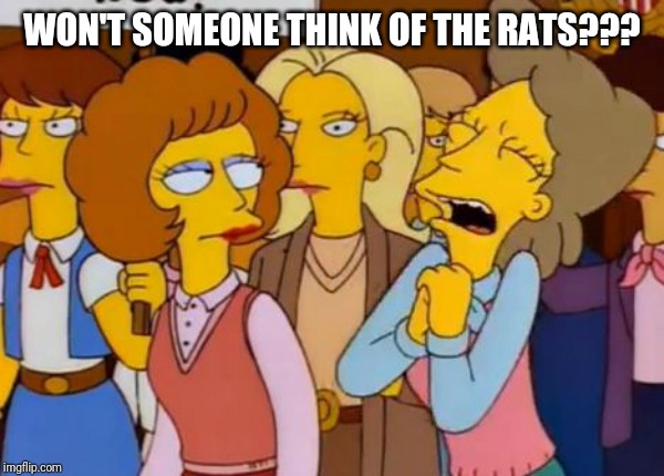 think of the rats | WON'T SOMEONE THINK OF THE RATS??? | image tagged in construction,development,rats,simpsons,funny | made w/ Imgflip meme maker