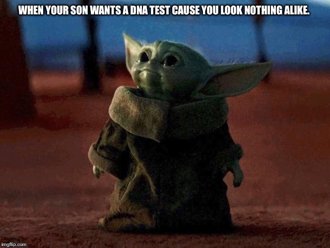 Baby Yoda |  WHEN YOUR SON WANTS A DNA TEST CAUSE YOU LOOK NOTHING ALIKE. | image tagged in baby yoda | made w/ Imgflip meme maker