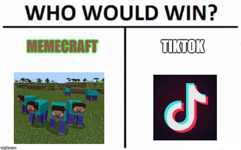 Who Would Win? Meme | MEMECRAFT; TIKTOK | image tagged in memes,who would win | made w/ Imgflip meme maker