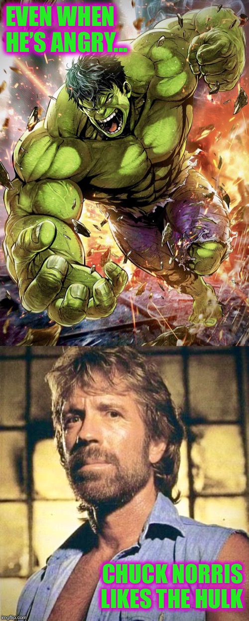 Hulk Norris | EVEN WHEN HE’S ANGRY... CHUCK NORRIS
LIKES THE HULK | image tagged in hulk,memes,chuck norris,the incredible hulk,anger management | made w/ Imgflip meme maker