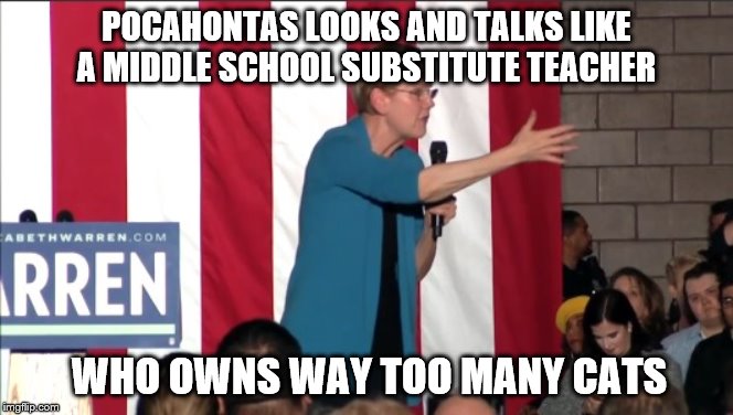 Pocahontas Warren | POCAHONTAS LOOKS AND TALKS LIKE A MIDDLE SCHOOL SUBSTITUTE TEACHER; WHO OWNS WAY TOO MANY CATS | image tagged in pocahontas,elizabeth warren | made w/ Imgflip meme maker