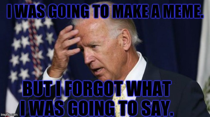 Joe Biden worries | I WAS GOING TO MAKE A MEME. BUT I FORGOT WHAT I WAS GOING TO SAY. | image tagged in joe biden worries | made w/ Imgflip meme maker