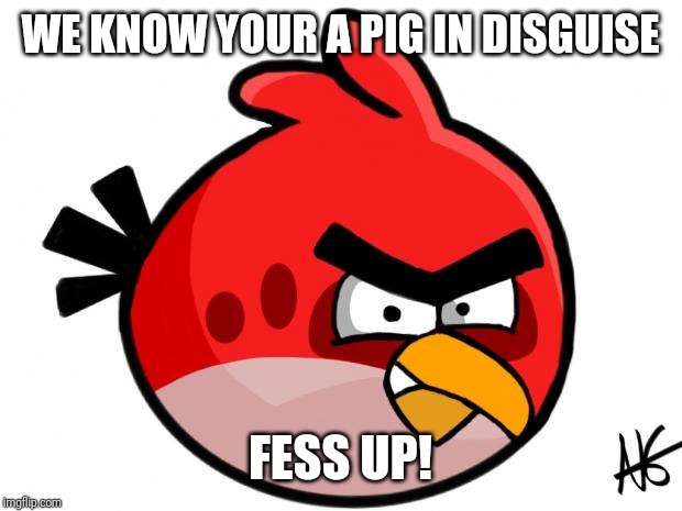 Angry Bird | WE KNOW YOUR A PIG IN DISGUISE FESS UP! | image tagged in angry bird | made w/ Imgflip meme maker