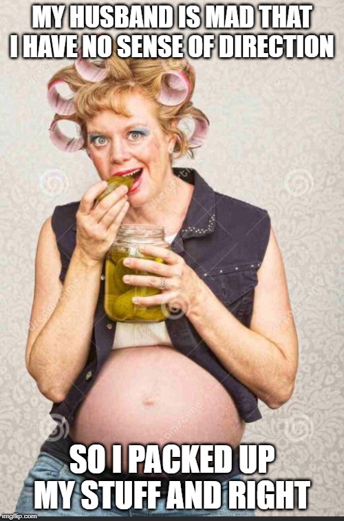 Derp | MY HUSBAND IS MAD THAT I HAVE NO SENSE OF DIRECTION; SO I PACKED UP MY STUFF AND RIGHT | image tagged in hillbilly wife | made w/ Imgflip meme maker