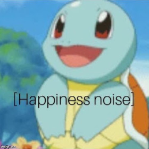 Happy squirtle | image tagged in happy squirtle | made w/ Imgflip meme maker