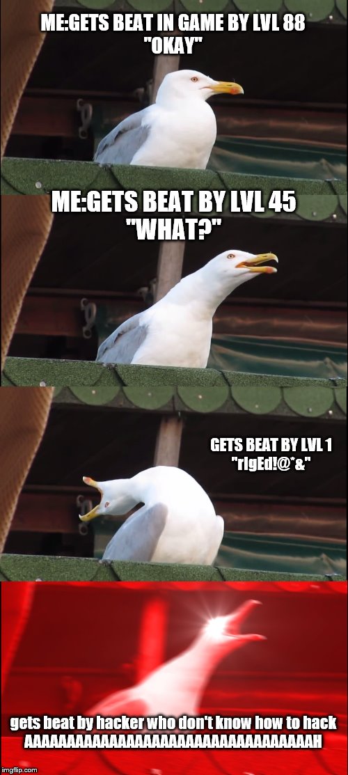 Inhaling Seagull | ME:GETS BEAT IN GAME BY LVL 88
"OKAY"; ME:GETS BEAT BY LVL 45
"WHAT?"; GETS BEAT BY LVL 1
"rIgEd!@*&"; gets beat by hacker who don't know how to hack
AAAAAAAAAAAAAAAAAAAAAAAAAAAAAAAAAAH | image tagged in memes,inhaling seagull | made w/ Imgflip meme maker