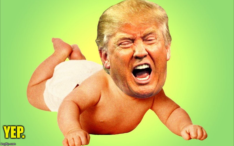 Baby Trump | YEP. | image tagged in baby trump | made w/ Imgflip meme maker