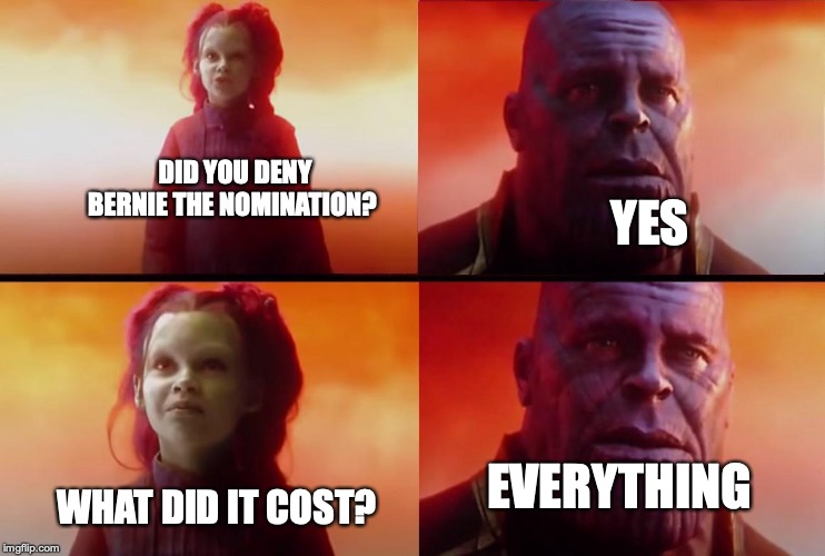 thanos what did it cost | DID YOU DENY BERNIE THE NOMINATION? YES; EVERYTHING; WHAT DID IT COST? | image tagged in thanos what did it cost | made w/ Imgflip meme maker