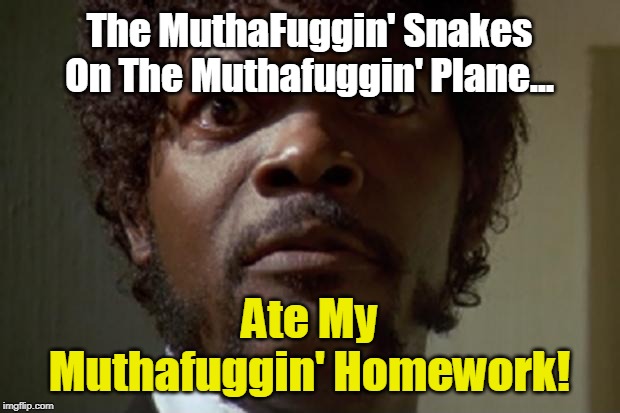 Samuel L jackson | The MuthaFuggin' Snakes
On The Muthafuggin' Plane... Ate My
Muthafuggin' Homework! | image tagged in samuel l jackson | made w/ Imgflip meme maker