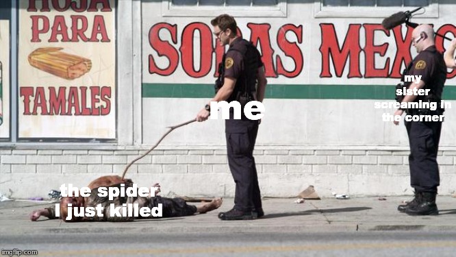it's dead? | my sister screaming in the corner; me; the spider I just killed | image tagged in it's dead | made w/ Imgflip meme maker