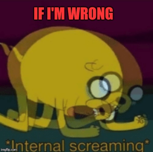 Jake The Dog Internal Screaming | IF I'M WRONG | image tagged in jake the dog internal screaming | made w/ Imgflip meme maker