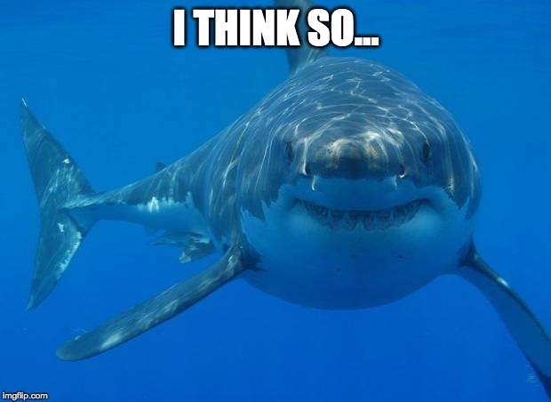 Straight White Shark | I THINK SO... | image tagged in straight white shark | made w/ Imgflip meme maker