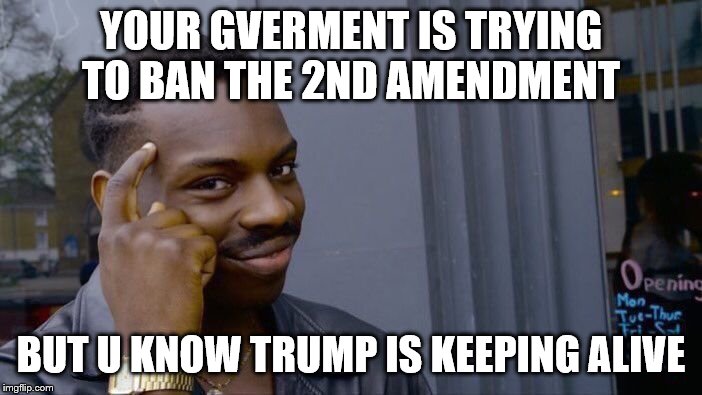 Roll Safe Think About It | YOUR GVERMENT IS TRYING TO BAN THE 2ND AMENDMENT; BUT U KNOW TRUMP IS KEEPING ALIVE | image tagged in memes,roll safe think about it | made w/ Imgflip meme maker