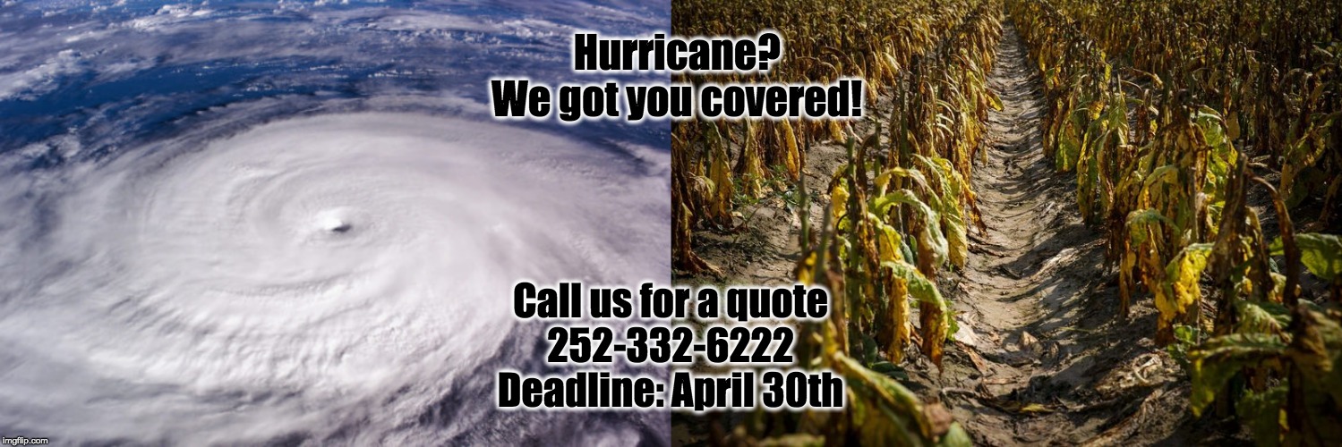 Hurricane?
We got you covered! Call us for a quote
252-332-6222
Deadline: April 30th | image tagged in hurricane,crops,crop insurance | made w/ Imgflip meme maker