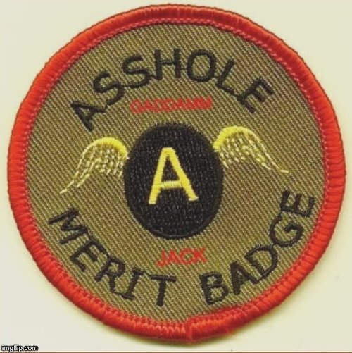 image tagged in merit badge | made w/ Imgflip meme maker