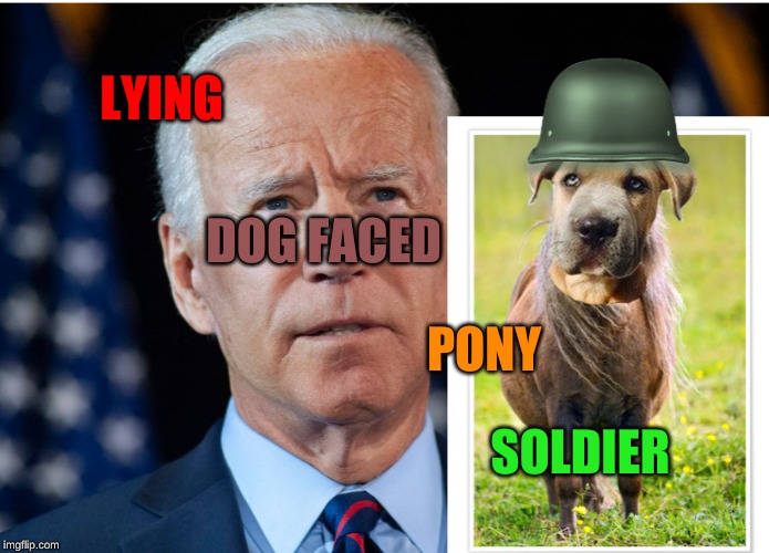 Lying Dog Faced Pony Soldier | LYING; DOG FACED; PONY; SOLDIER | image tagged in lying dog faced pony soldier,joe biden,politics,election 2020,political | made w/ Imgflip meme maker