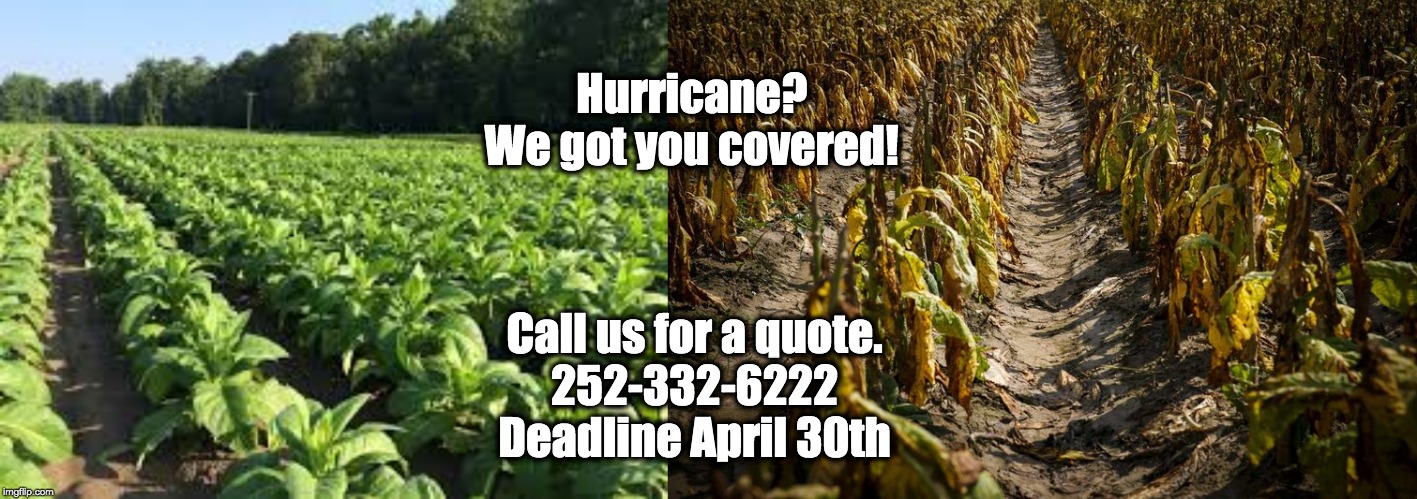 Hurricane?
We got you covered! Call us for a quote.
252-332-6222
Deadline April 30th | image tagged in hurricane,crops,crop insurance | made w/ Imgflip meme maker