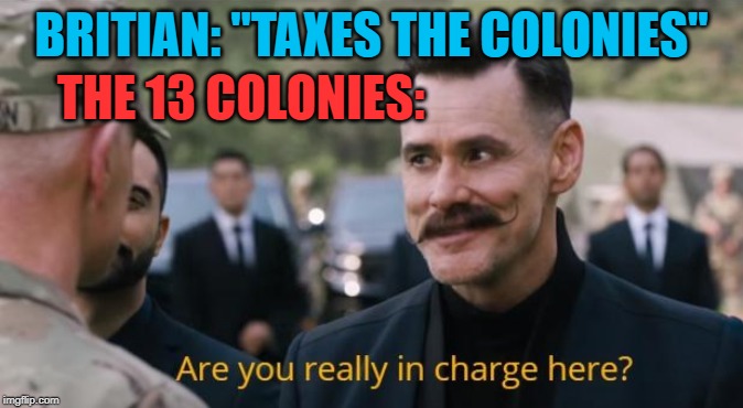 Are you really in charge here? | BRITIAN: "TAXES THE COLONIES"; THE 13 COLONIES: | image tagged in are you really in charge here | made w/ Imgflip meme maker