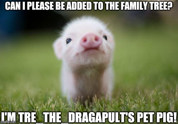 piglet | CAN I PLEASE BE ADDED TO THE FAMILY TREE? I'M TRE_THE_DRAGAPULT'S PET PIG! | image tagged in piglet | made w/ Imgflip meme maker