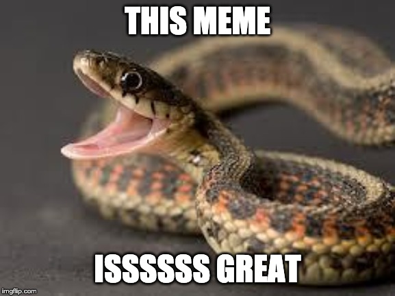 THIS MEME ISSSSSS GREAT | image tagged in warning snake | made w/ Imgflip meme maker