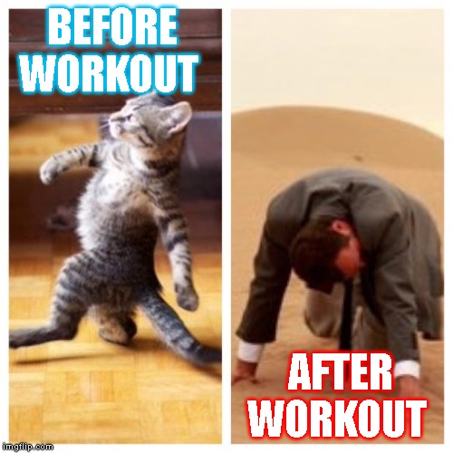 Go to the gym like | BEFORE WORKOUT; AFTER WORKOUT | image tagged in go to the gym like | made w/ Imgflip meme maker