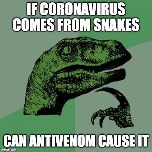 Philosoraptor | IF CORONAVIRUS COMES FROM SNAKES; CAN ANTIVENOM CAUSE IT | image tagged in memes,philosoraptor | made w/ Imgflip meme maker