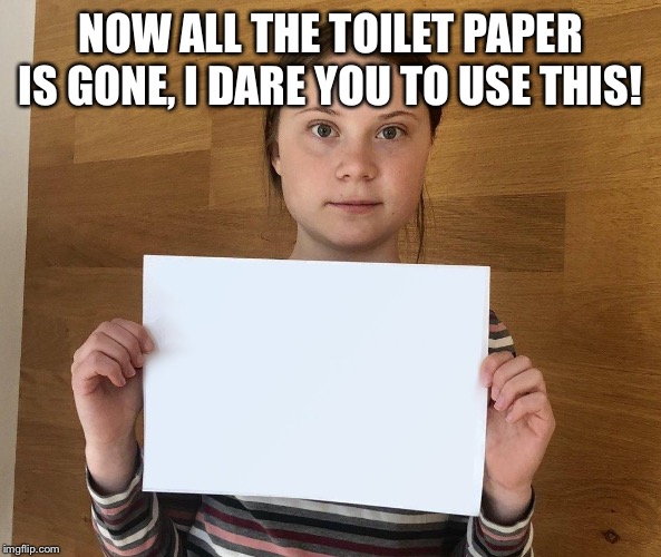 Greta | NOW ALL THE TOILET PAPER IS GONE, I DARE YOU TO USE THIS! | image tagged in greta | made w/ Imgflip meme maker