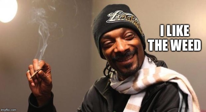 Snoop Dogg | I LIKE THE WEED | image tagged in snoop dogg | made w/ Imgflip meme maker
