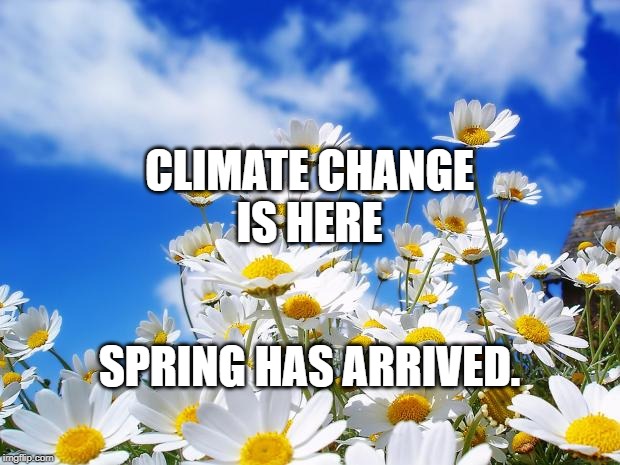 spring daisy flowers |  CLIMATE CHANGE
IS HERE; SPRING HAS ARRIVED. | image tagged in spring daisy flowers | made w/ Imgflip meme maker
