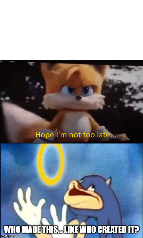 WHO MADE THIS... LIKE WHO CREATED IT? | image tagged in sonic derp,sonic movie tails | made w/ Imgflip meme maker