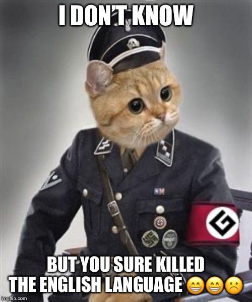 Grammar Nazi Cat | I DON’T KNOW BUT YOU SURE KILLED THE ENGLISH LANGUAGE ??☹️ | image tagged in grammar nazi cat | made w/ Imgflip meme maker
