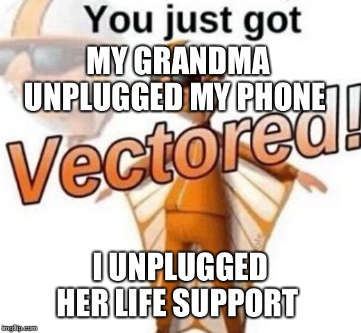 My teacher gave me a d on my test.... I gave her a d in her mouth | MY GRANDMA UNPLUGGED MY PHONE; I UNPLUGGED HER LIFE SUPPORT | image tagged in you just got vectored | made w/ Imgflip meme maker