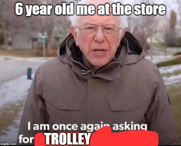 I am once again asking for your financial support | 6 year old me at the store; TROLLEY | image tagged in i am once again asking for your financial support | made w/ Imgflip meme maker