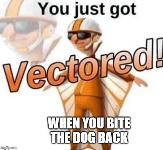 You just got vectored | WHEN YOU BITE THE DOG BACK | image tagged in you just got vectored | made w/ Imgflip meme maker