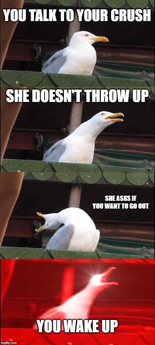 Inhaling Seagull | YOU TALK TO YOUR CRUSH; SHE DOESN'T THROW UP; SHE ASKS IF YOU WANT TO GO OUT; YOU WAKE UP | image tagged in memes,inhaling seagull | made w/ Imgflip meme maker