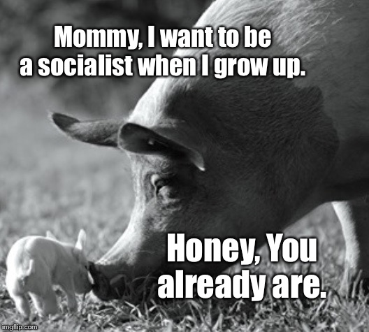 Like a Pig to Slaughter | Mommy, I want to be a socialist when I grow up. Honey, You already are. | image tagged in mommy when i grow up,socialist,memes,like a pig to slaughter,bernie sanders | made w/ Imgflip meme maker