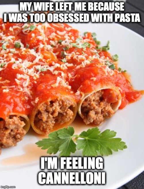 MY WIFE LEFT ME BECAUSE I WAS TOO OBSESSED WITH PASTA; I'M FEELING CANNELLONI | image tagged in dad joke,puns | made w/ Imgflip meme maker
