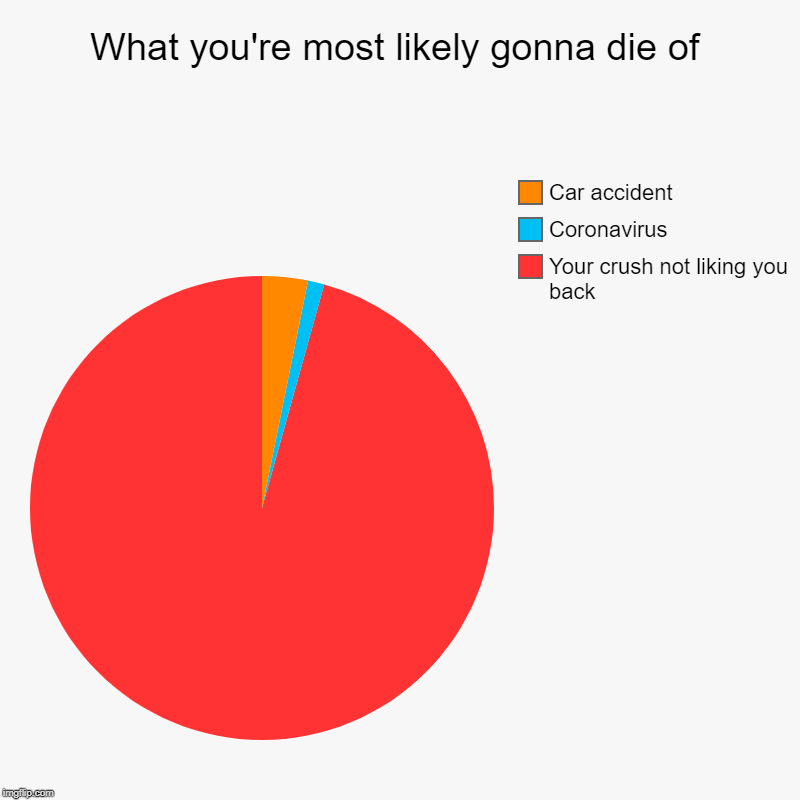What you're most likely gonna die of | Your crush not liking you back, Coronavirus, Car accident | image tagged in charts,pie charts | made w/ Imgflip chart maker