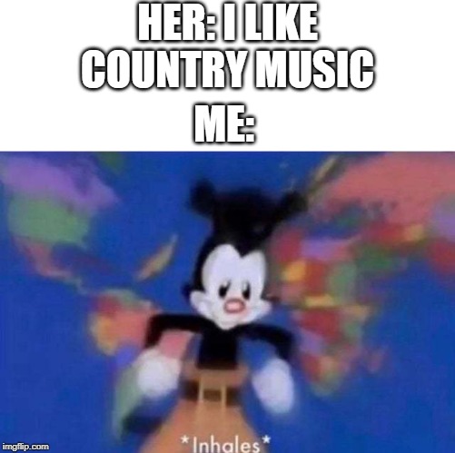 *Inhales* | HER: I LIKE COUNTRY MUSIC; ME: | image tagged in inhales,country music,crush,memes | made w/ Imgflip meme maker