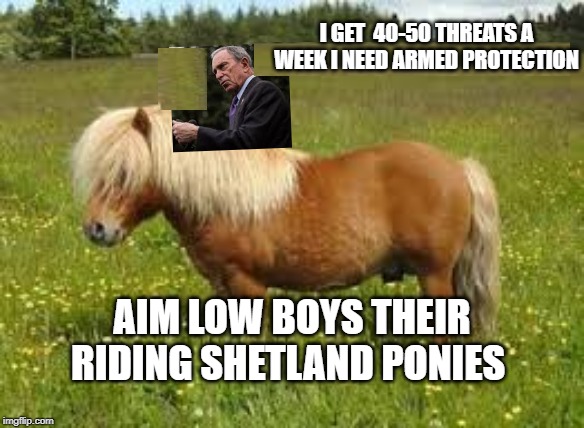 My life is more important than yours | I GET  40-50 THREATS A WEEK I NEED ARMED PROTECTION; AIM LOW BOYS THEIR RIDING SHETLAND PONIES | image tagged in gun control  billionaire elitist | made w/ Imgflip meme maker