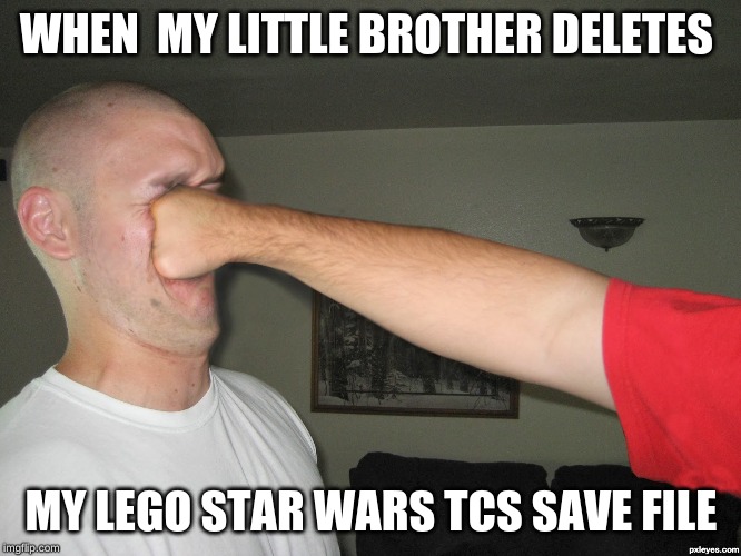 Face punch | WHEN  MY LITTLE BROTHER DELETES; MY LEGO STAR WARS TCS SAVE FILE | image tagged in face punch | made w/ Imgflip meme maker
