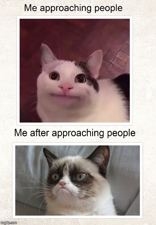 When you're polite but then all goes to sh*t | image tagged in grumpy cat,polite,funny,relatable,funny memes,cats | made w/ Imgflip meme maker