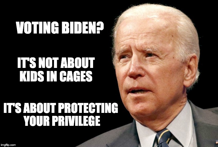 A Biden Vote Is a Vote to Protect Your Privilege | VOTING BIDEN? IT'S NOT ABOUT KIDS IN CAGES; IT'S ABOUT PROTECTING 
YOUR PRIVILEGE | image tagged in joe biden | made w/ Imgflip meme maker
