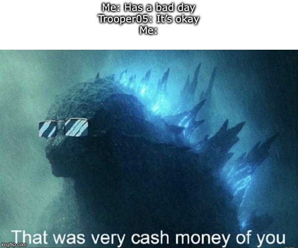 That was very cash money of you | Me: Has a bad day
Trooper05: It’s okay
Me: | image tagged in that was very cash money of you | made w/ Imgflip meme maker