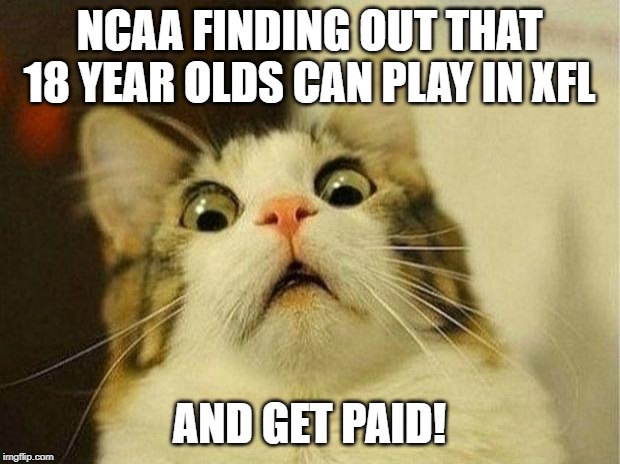 Scared Cat | NCAA FINDING OUT THAT 18 YEAR OLDS CAN PLAY IN XFL; AND GET PAID! | image tagged in memes,scared cat | made w/ Imgflip meme maker