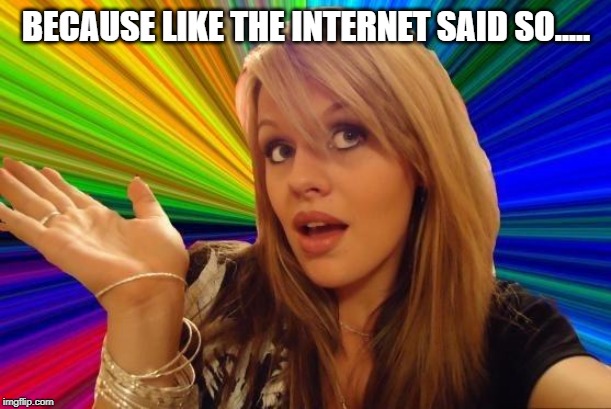 Dumb Blonde Meme | BECAUSE LIKE THE INTERNET SAID SO..... | image tagged in memes,dumb blonde | made w/ Imgflip meme maker